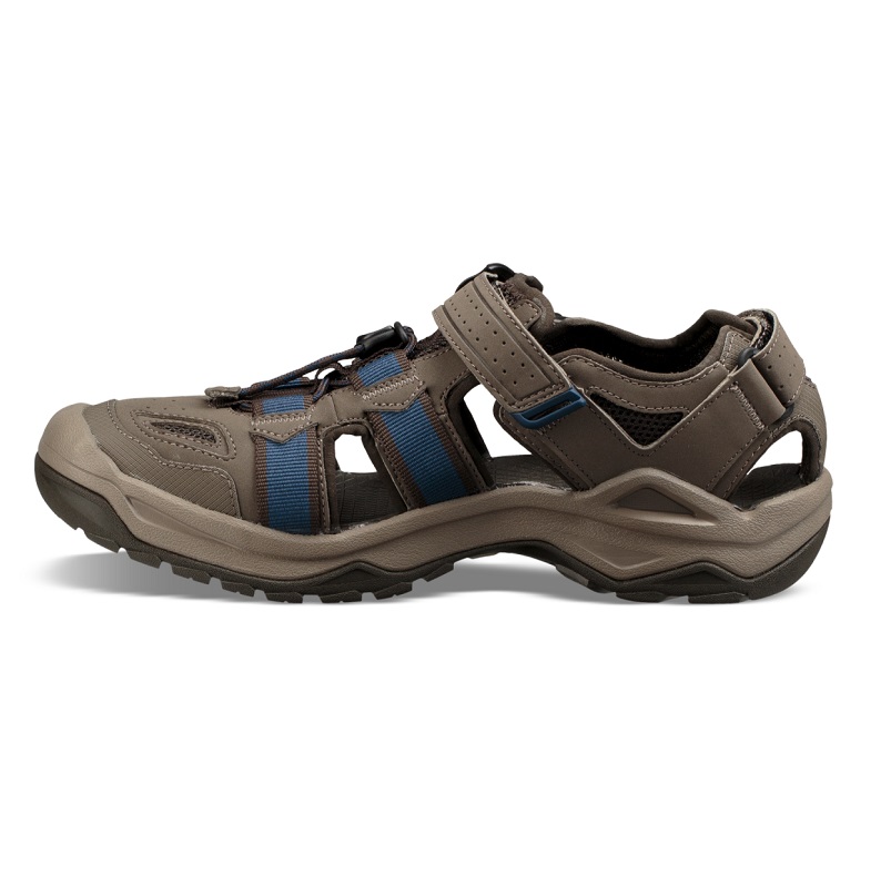 Teva Omnium 2 Bungee Cord